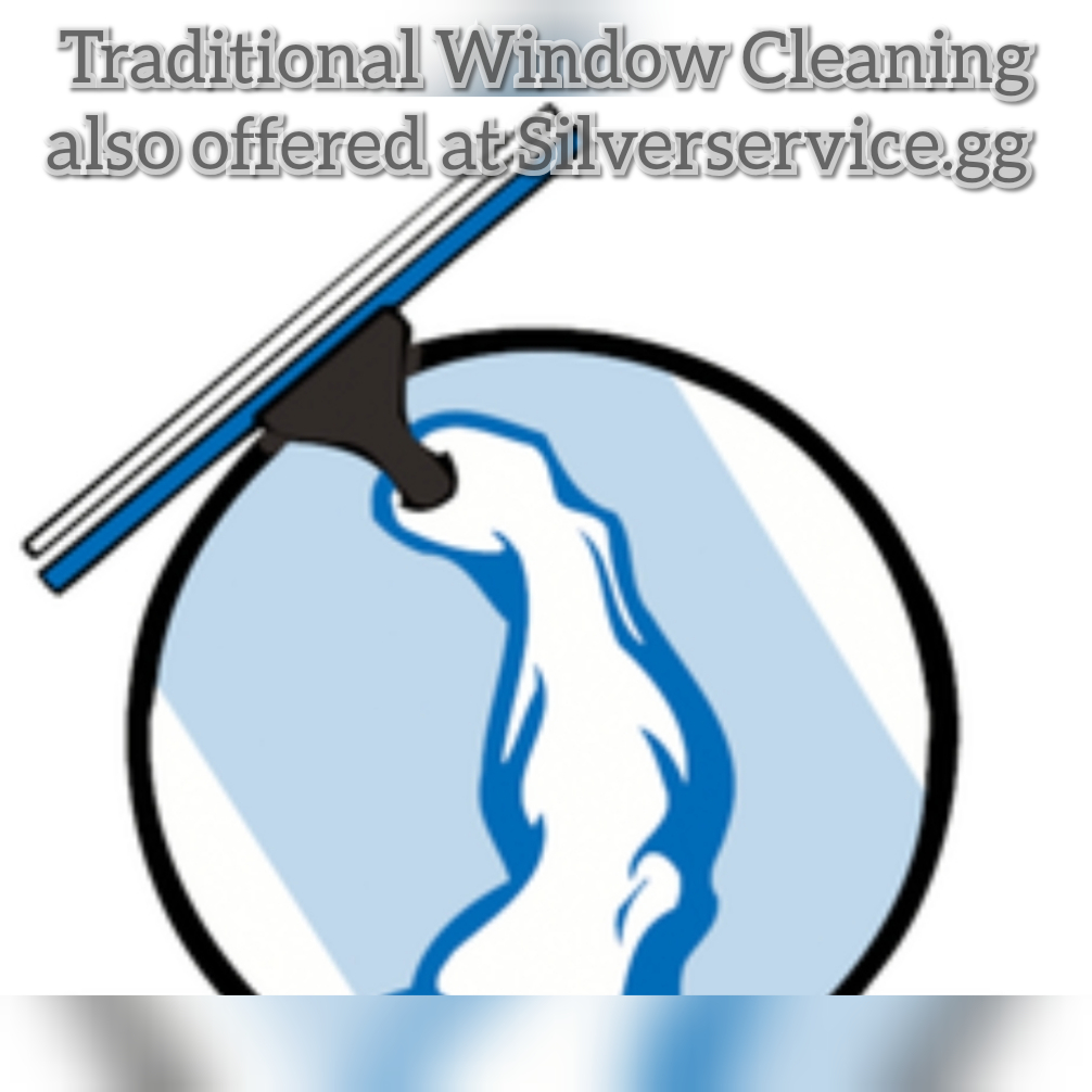 SILVER SERVICE WINDOW CLEANING