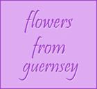 Flowers From Guernsey
